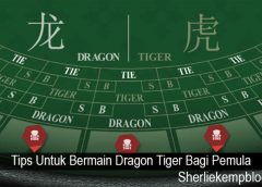 Tips Untuk Bermain Dragon Tiger Bagi Pemula